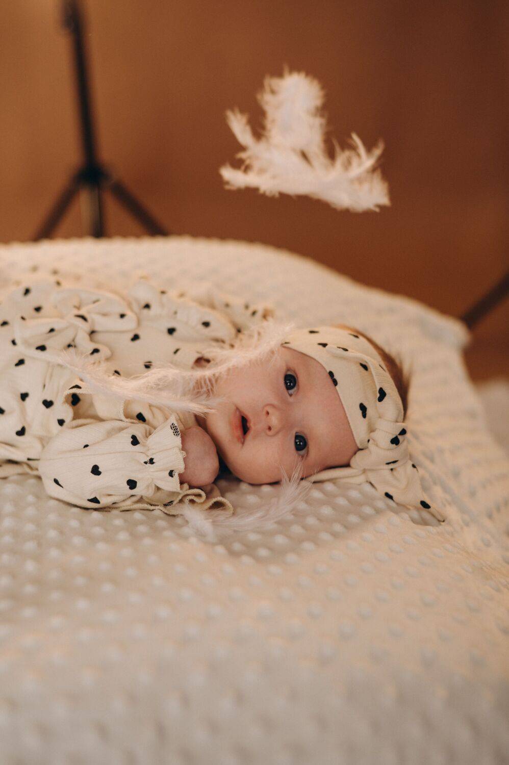 Photo #13543351