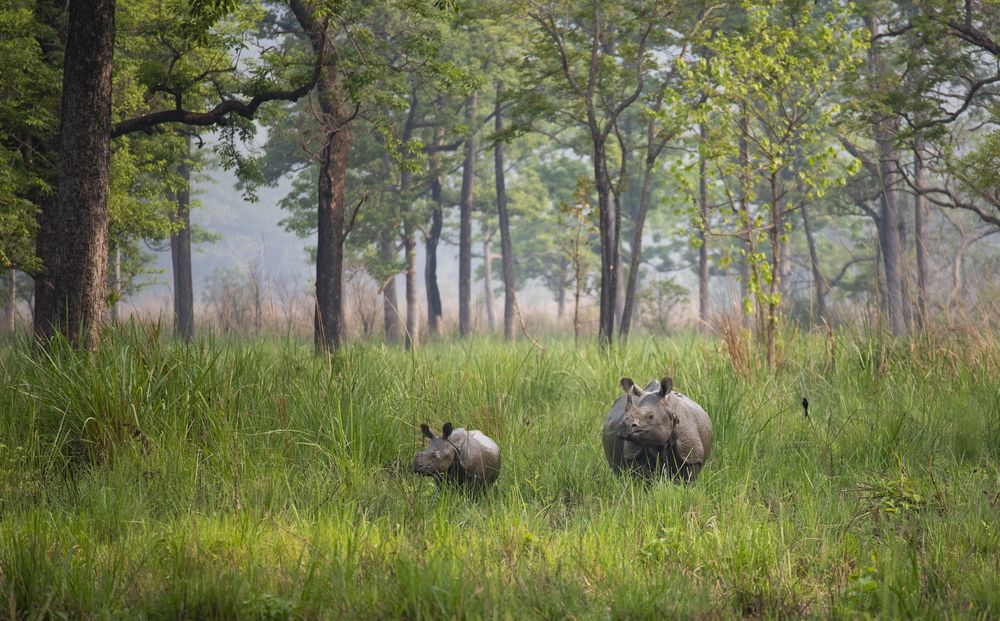 Photograph by Gurdina Lena