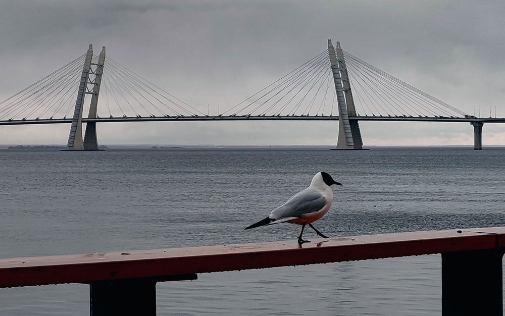 Photograph by Дайана