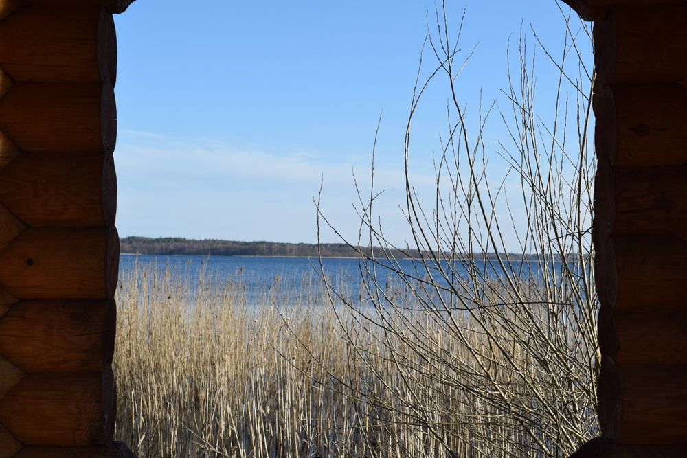 Photo #13543386