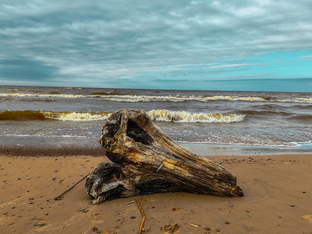 Photograph by Дайана