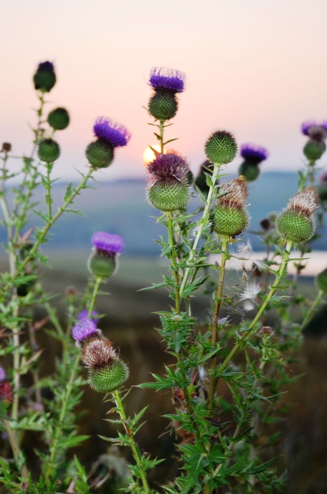 Photograph by Ольга Булавкина