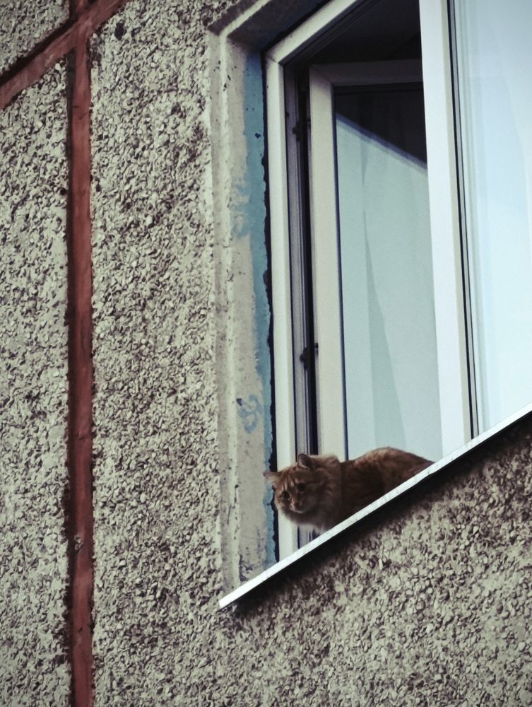 Photograph by Наталья Смирнова