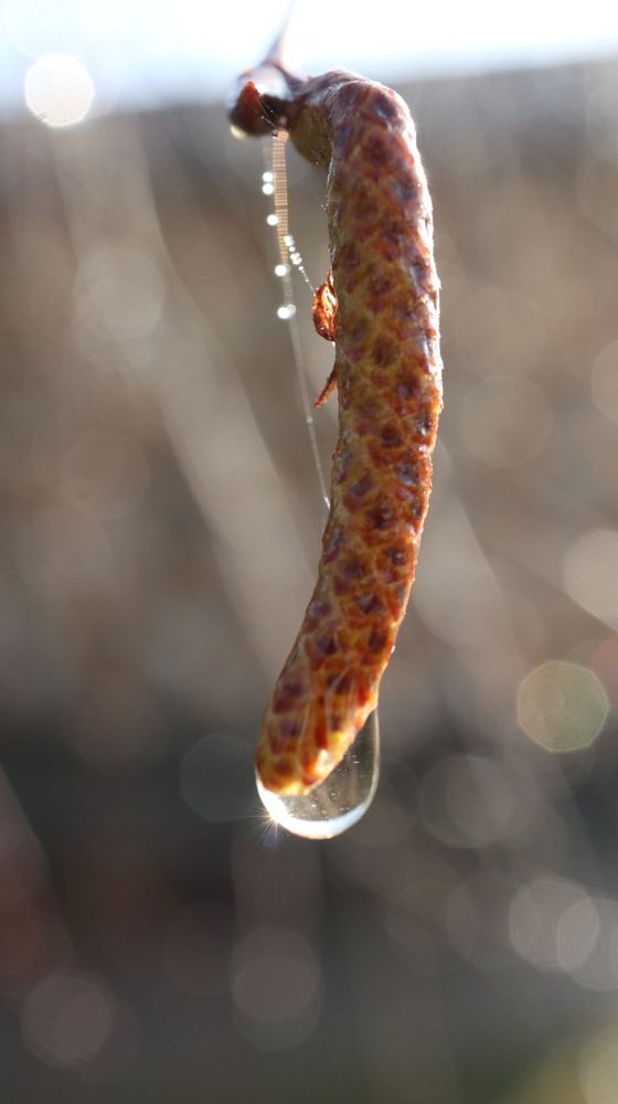 Photograph by Irina Ginbert