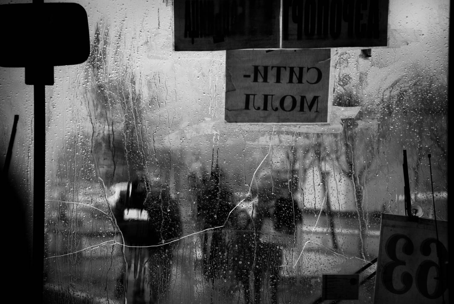 Photo #13543712