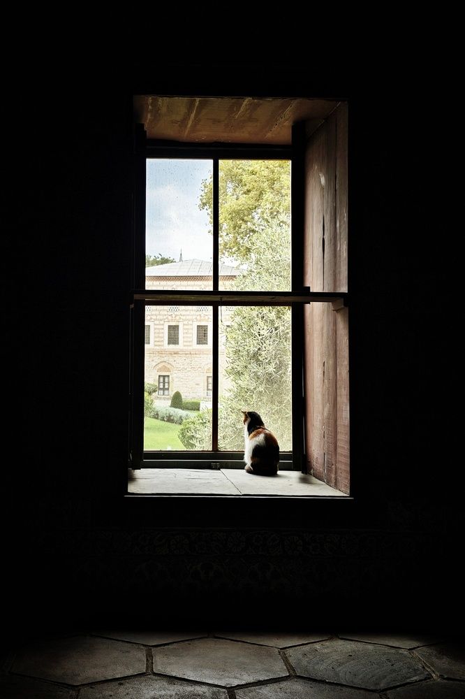 Photograph by Евгения Шулакова