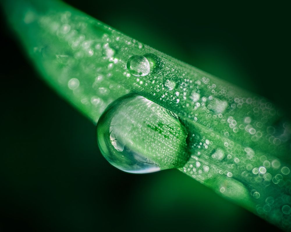 Photograph by Марк Беженарь