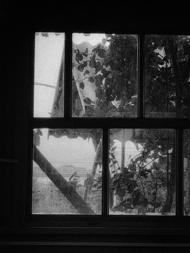 Photograph by Анна Пигулевская