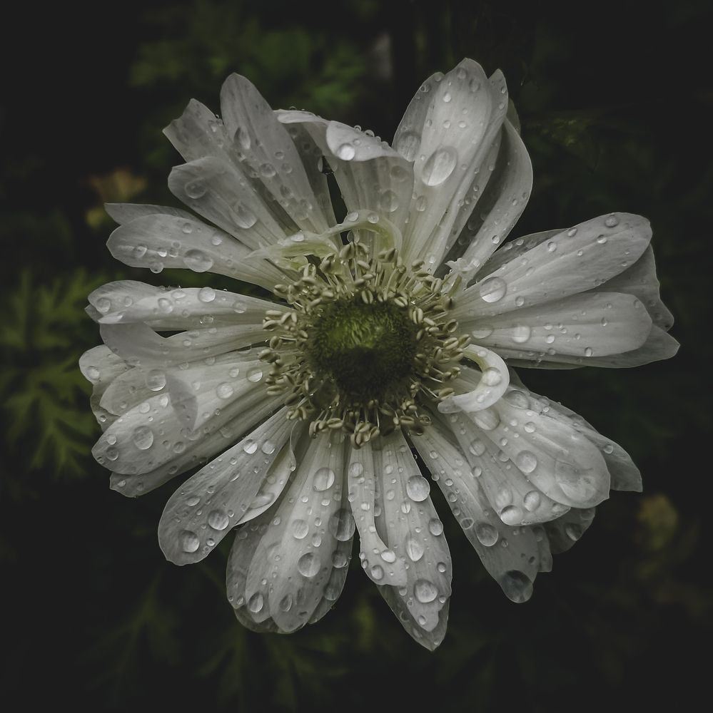 Photograph by SUZUKI Kazumichi