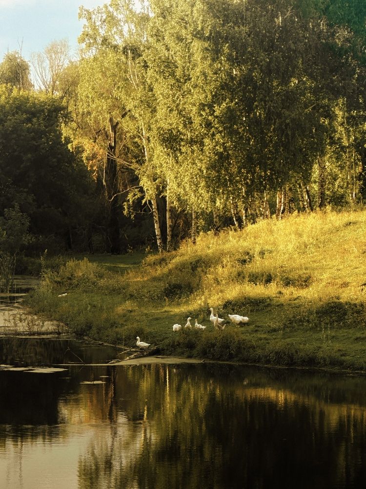 Фотография автора Бороздина Мария