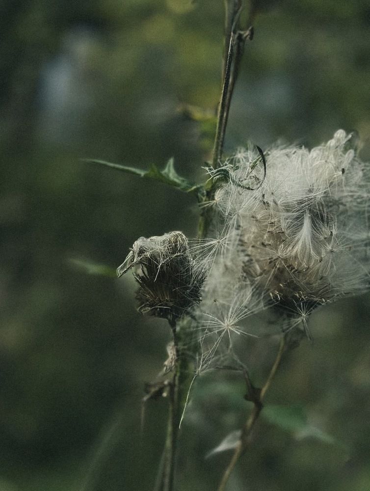 Photograph by Арина