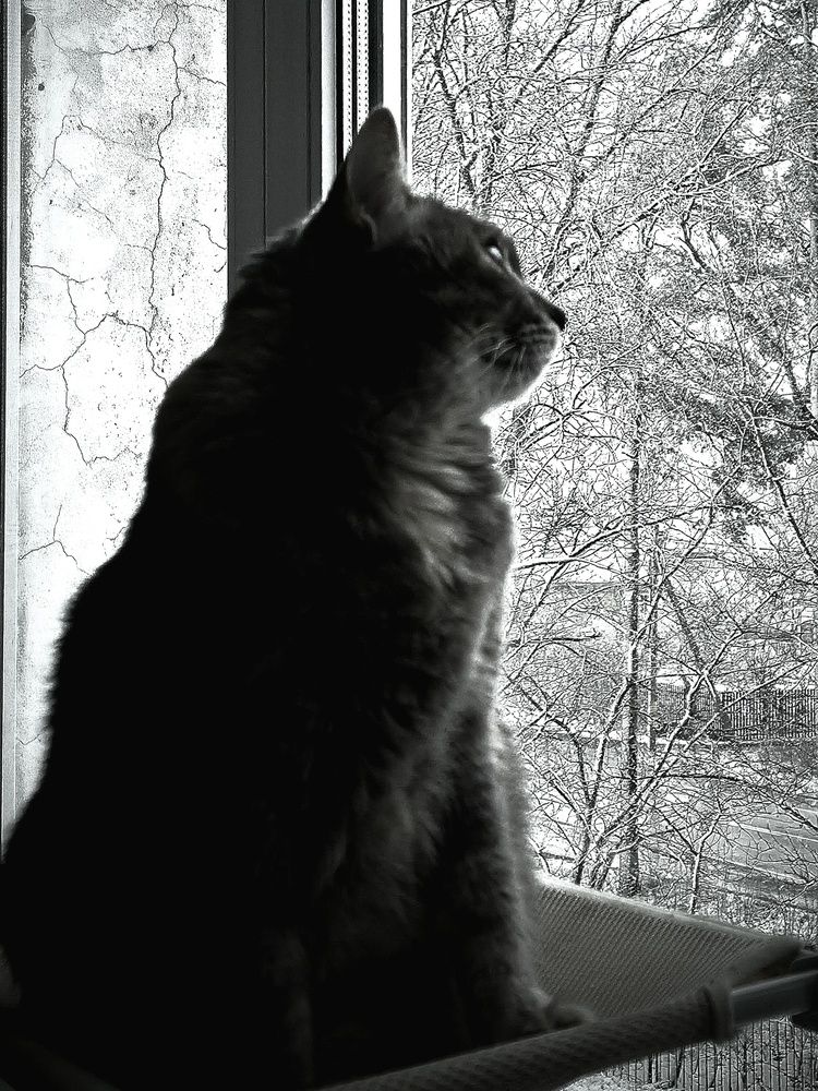 Photograph by Светлана Кустова