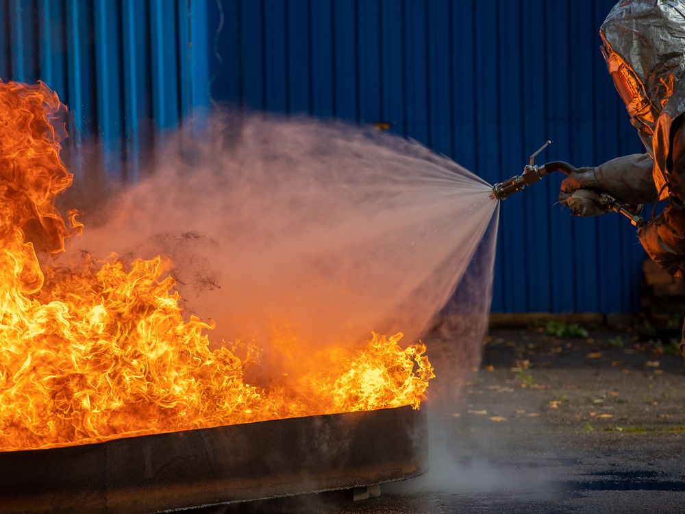 Photo #13544035