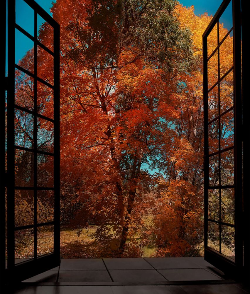Photograph by Александр Завьялов