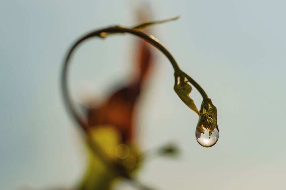 Photograph by Bùi Ngọc Hiếu