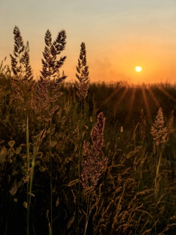 Photograph by Анна Якубинас