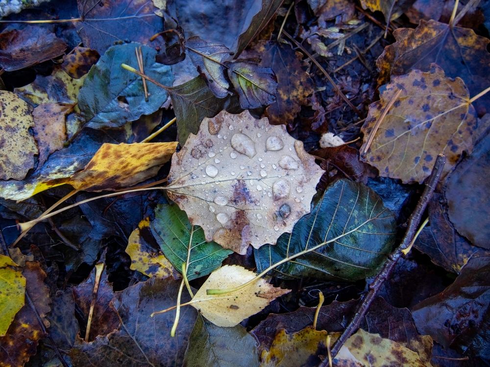 Photograph by Ольга Зимина