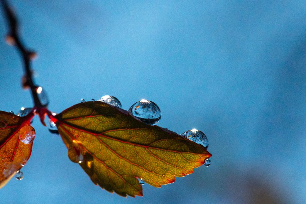 Photograph by Olga Lyubochkina