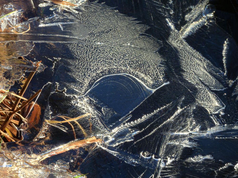 Photo #13544337