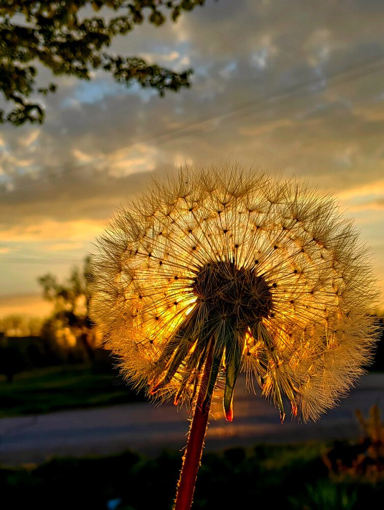 Photograph by Ульяна Кузьмина