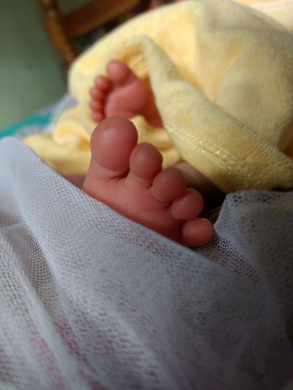 Tiny Steps, New Beginnings.