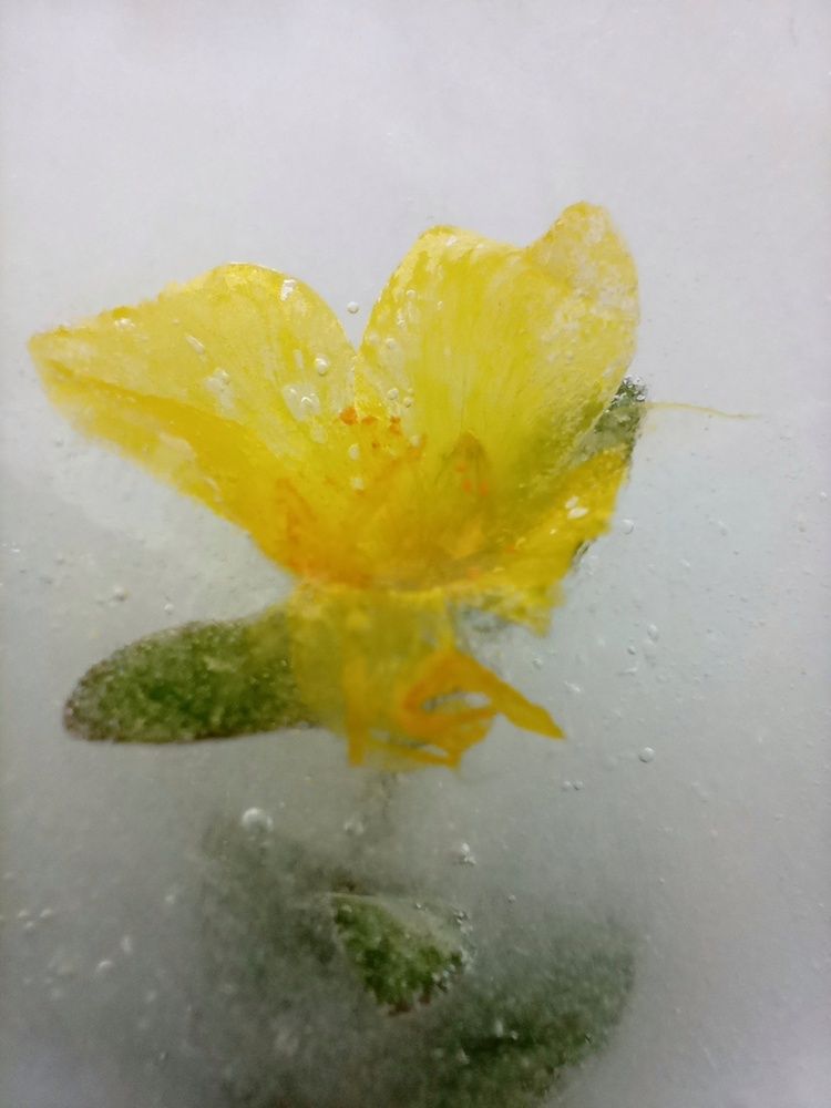 Photograph by Sheuli Akther