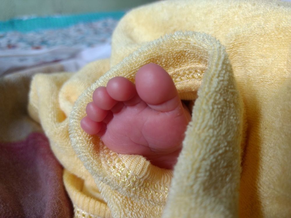 Wrapped in Warmth.