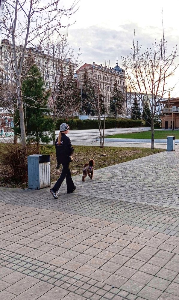 На прогулке