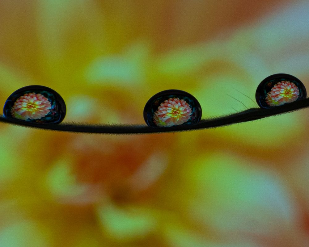Фотография автора Julio Medina
