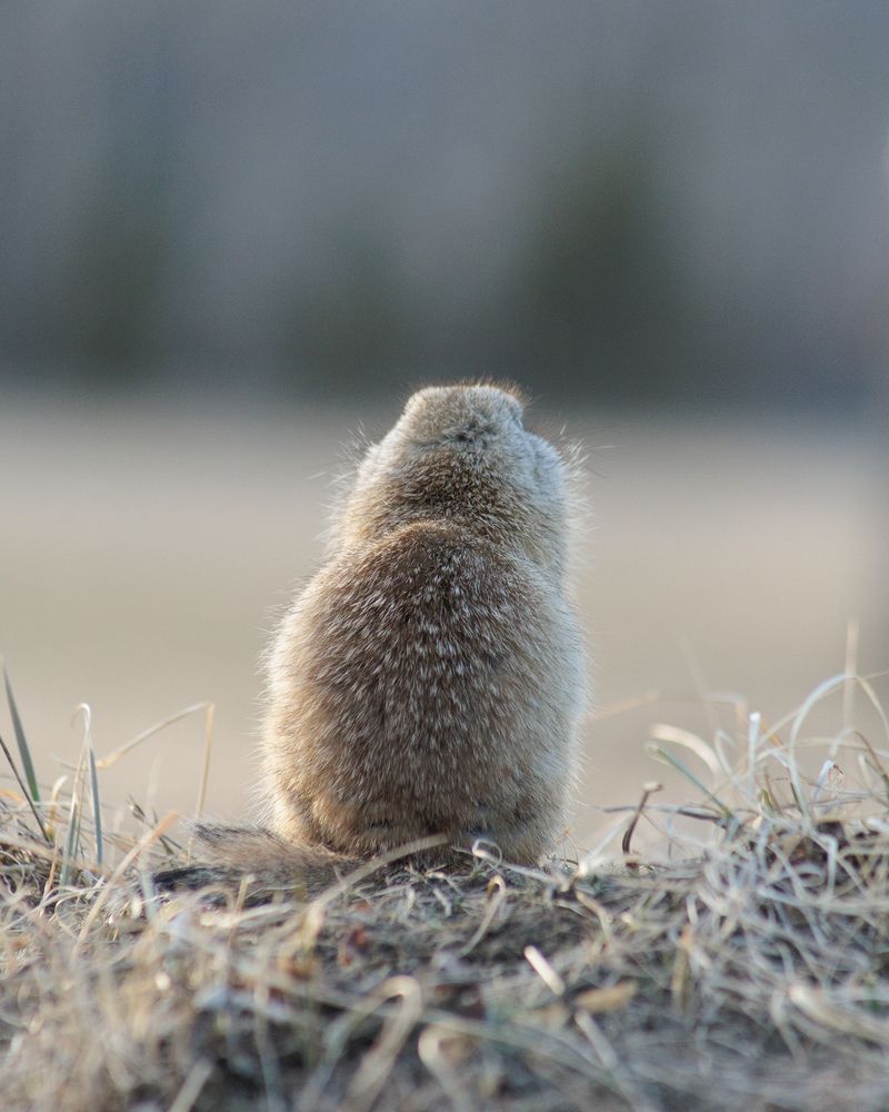 Photograph by Альберт Куулар
