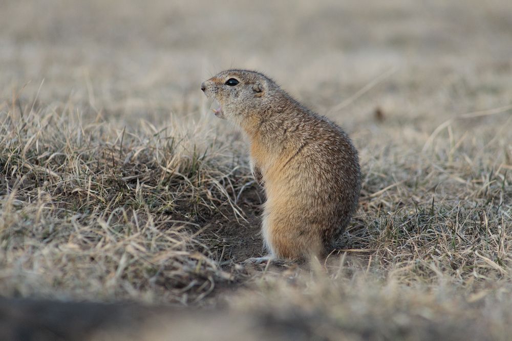 Photograph by Альберт Куулар