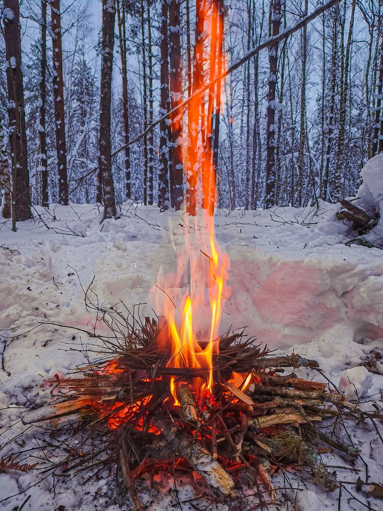 Photograph by Александр Хухлов
