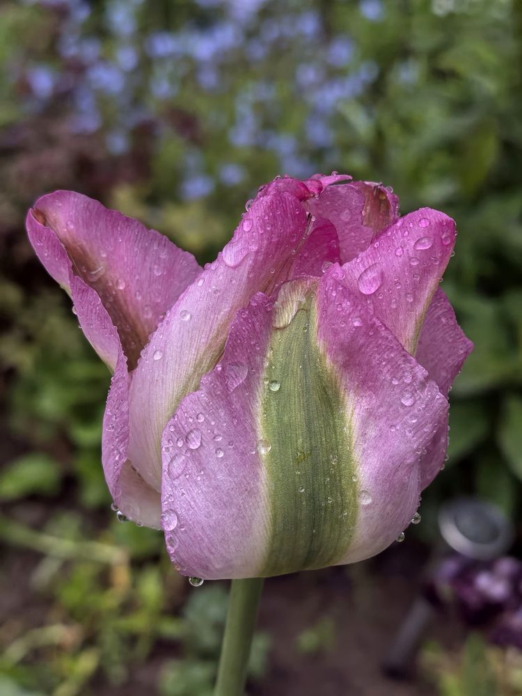Photograph by Екатерина Борисовна Кузьмина
