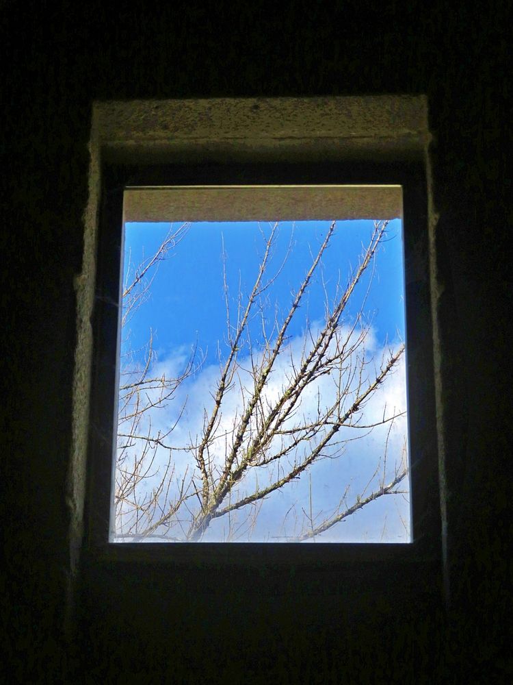 Photograph by Maria Isabel Moreira