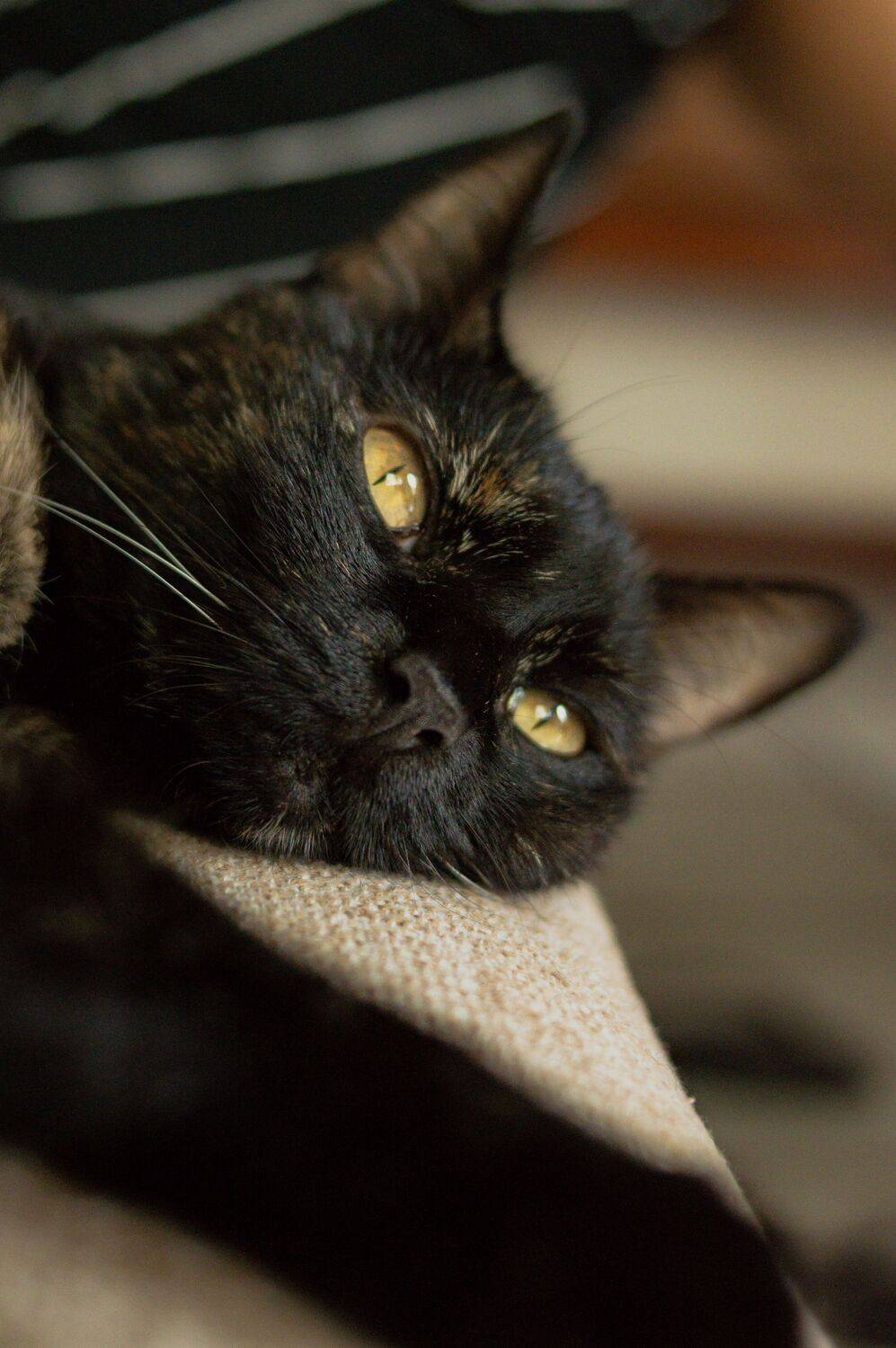 A look of serenity
