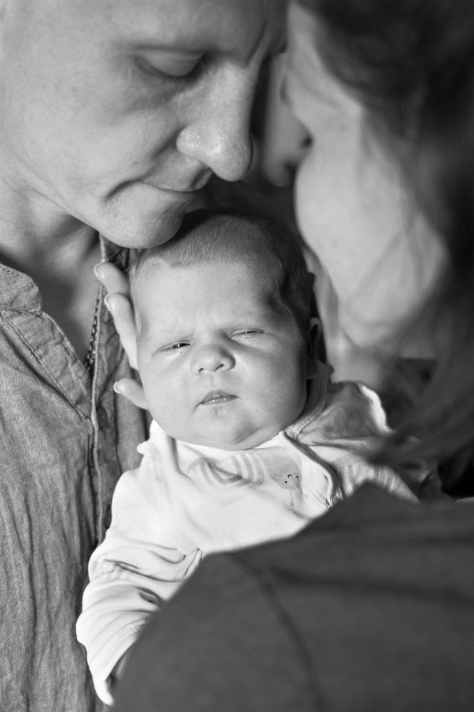 Photo #13545011
