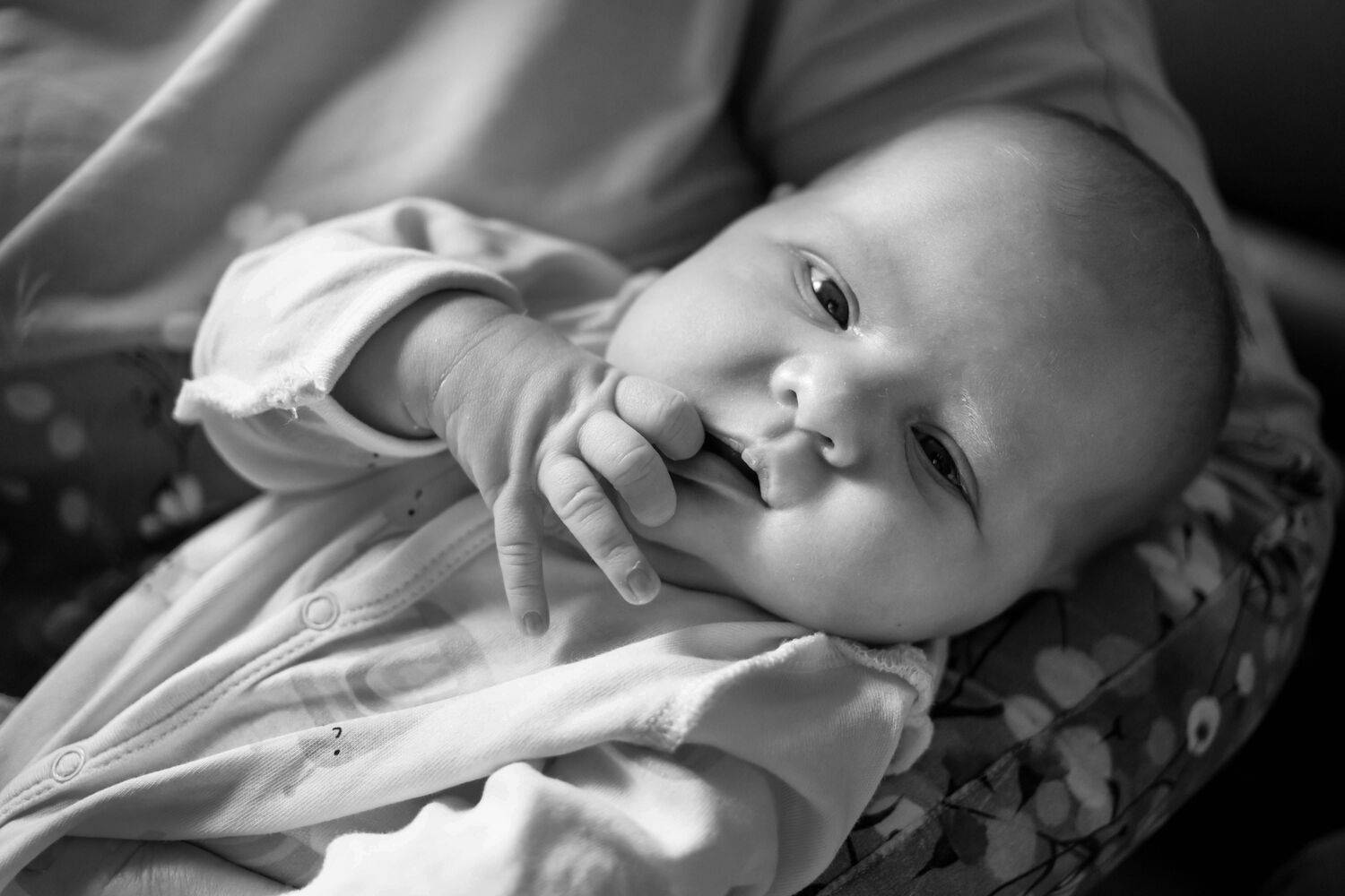 Photo #13545012