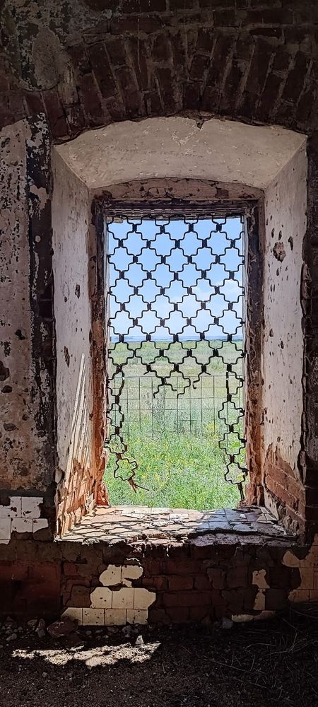 Photograph by Елена Калинина