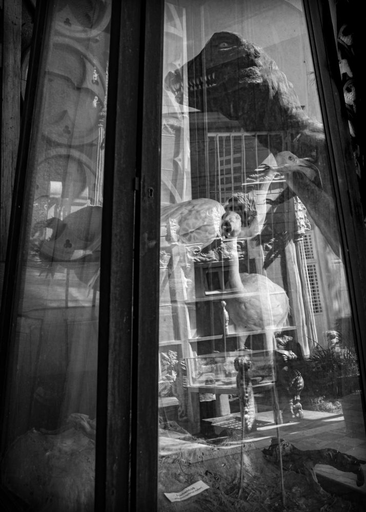 Photograph by Yeney Ramos Camejo