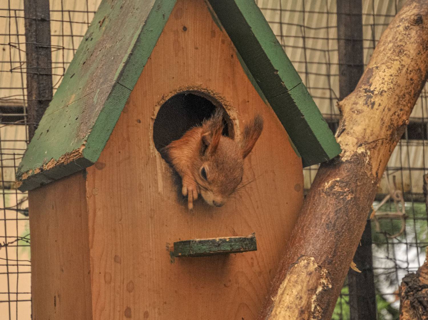 Photo #13545266