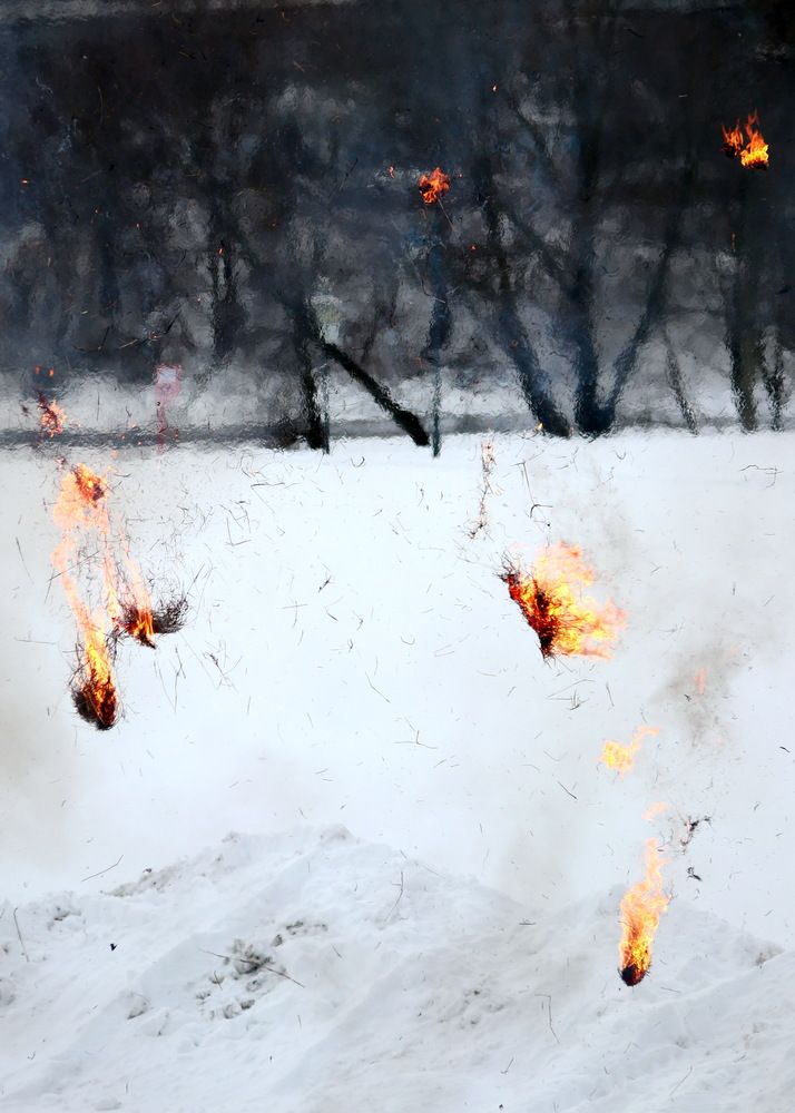Photo #13545301