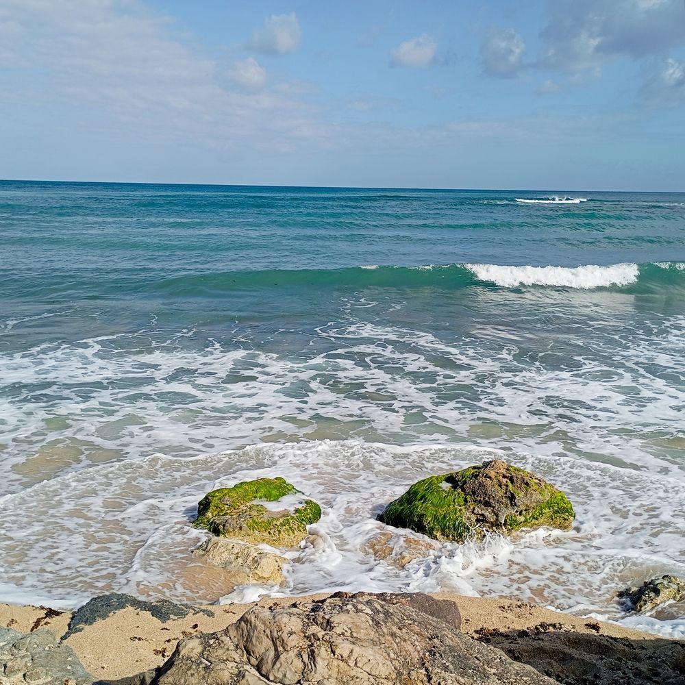 The Rhythm of the Tide.