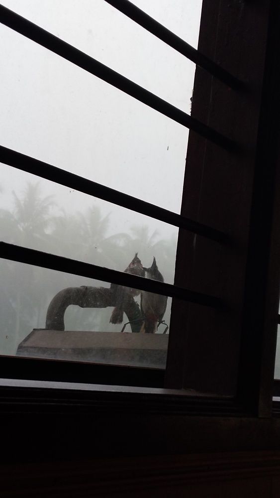 Photograph by Varsha Gatti
