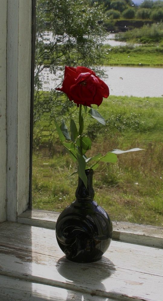 Photograph by Kuzmichev Alexey