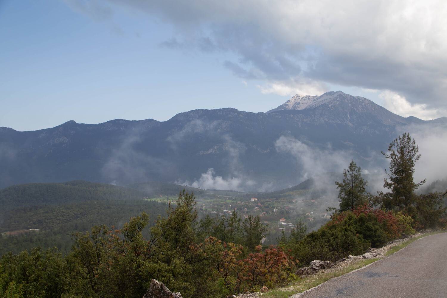 Photo #13545692