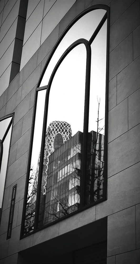 Photograph by ELLA BROD