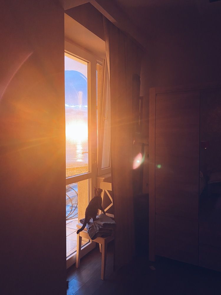 Photograph by Алёна Яцкевич