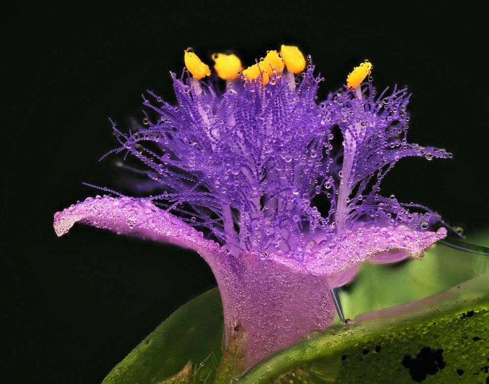 Photograph by Dharmendra Padhiyar