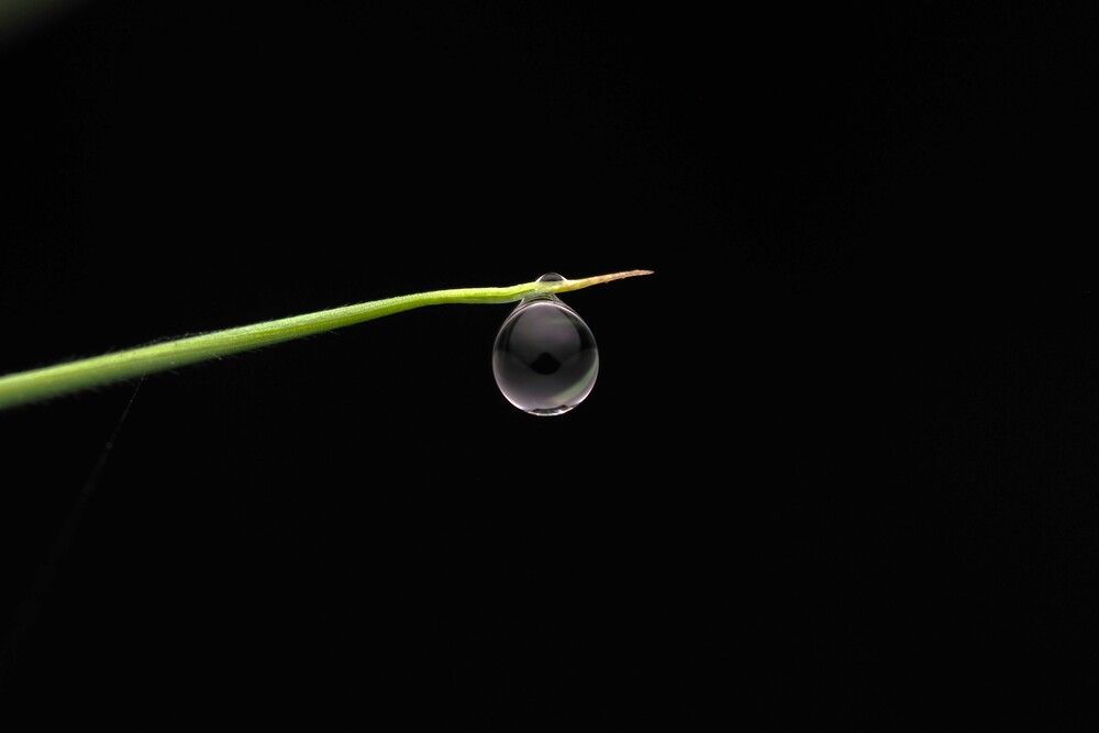 Photograph by Dharmendra Padhiyar