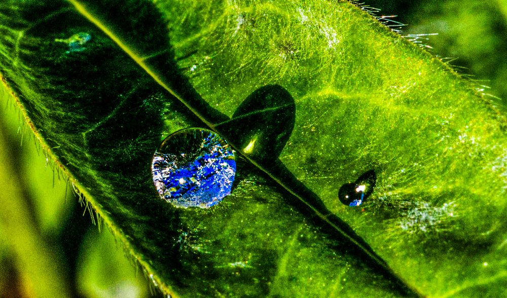Photograph by Михаил Бояркин